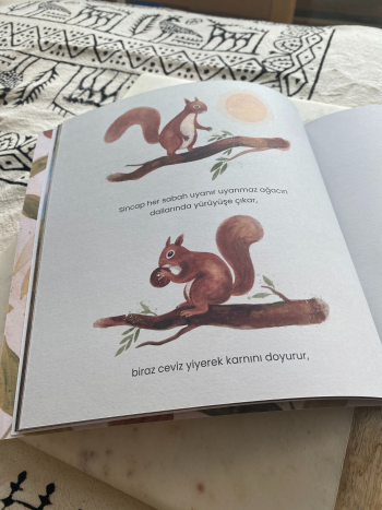 Ceviz Koleksiyoncusu - Görsel 4